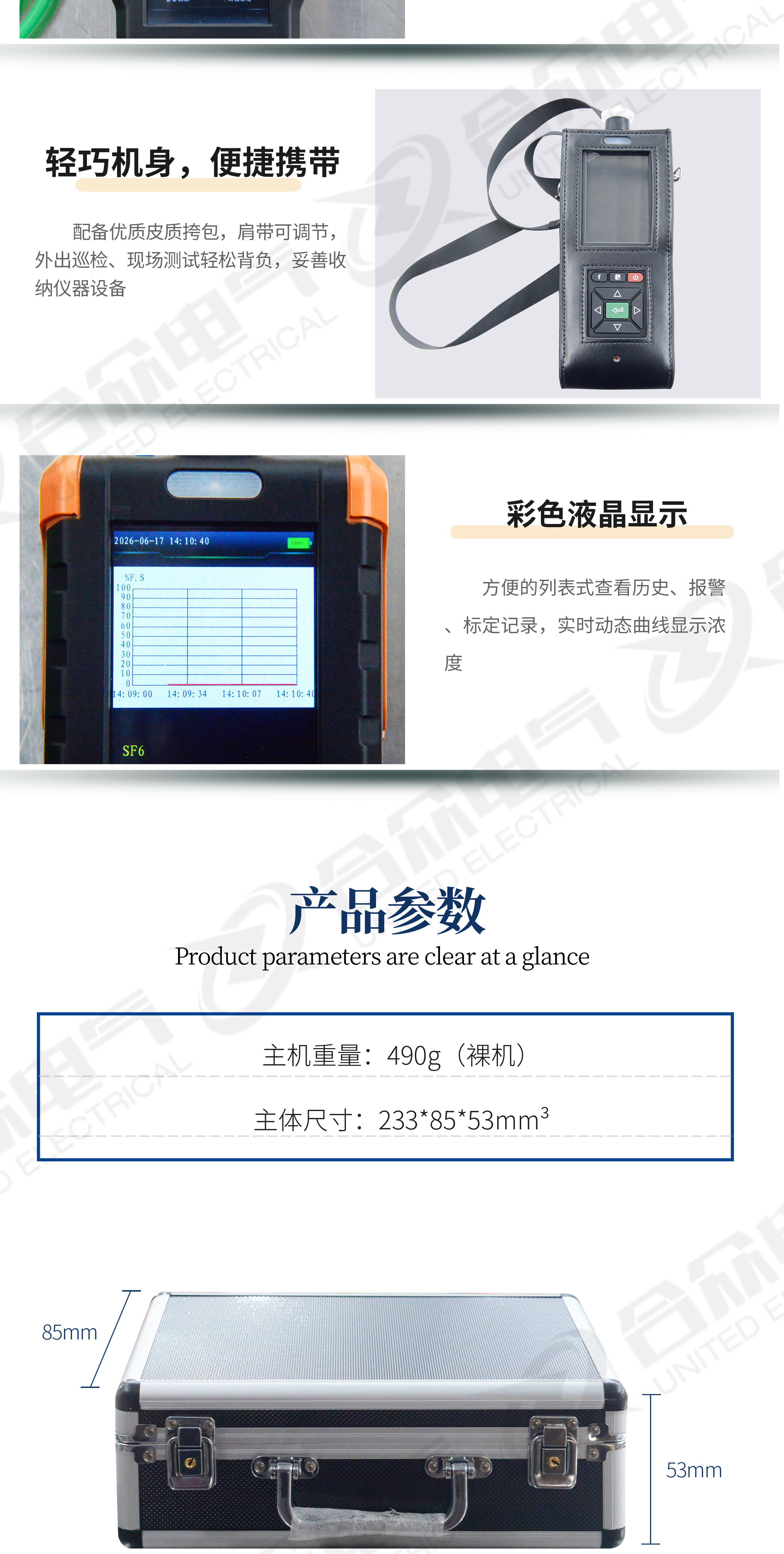 手持式SF6气体检测仪